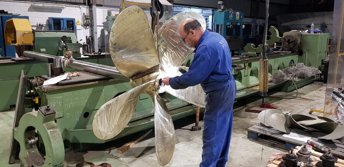 Imagen de Capitol 11 - 2020